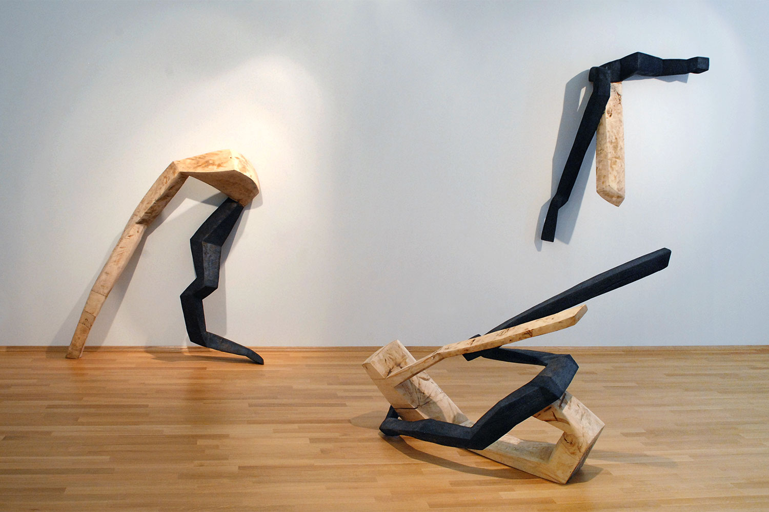 Ausstellung "corpus" . Beate Debus . Städtische galerie ada Meiningen . 2007