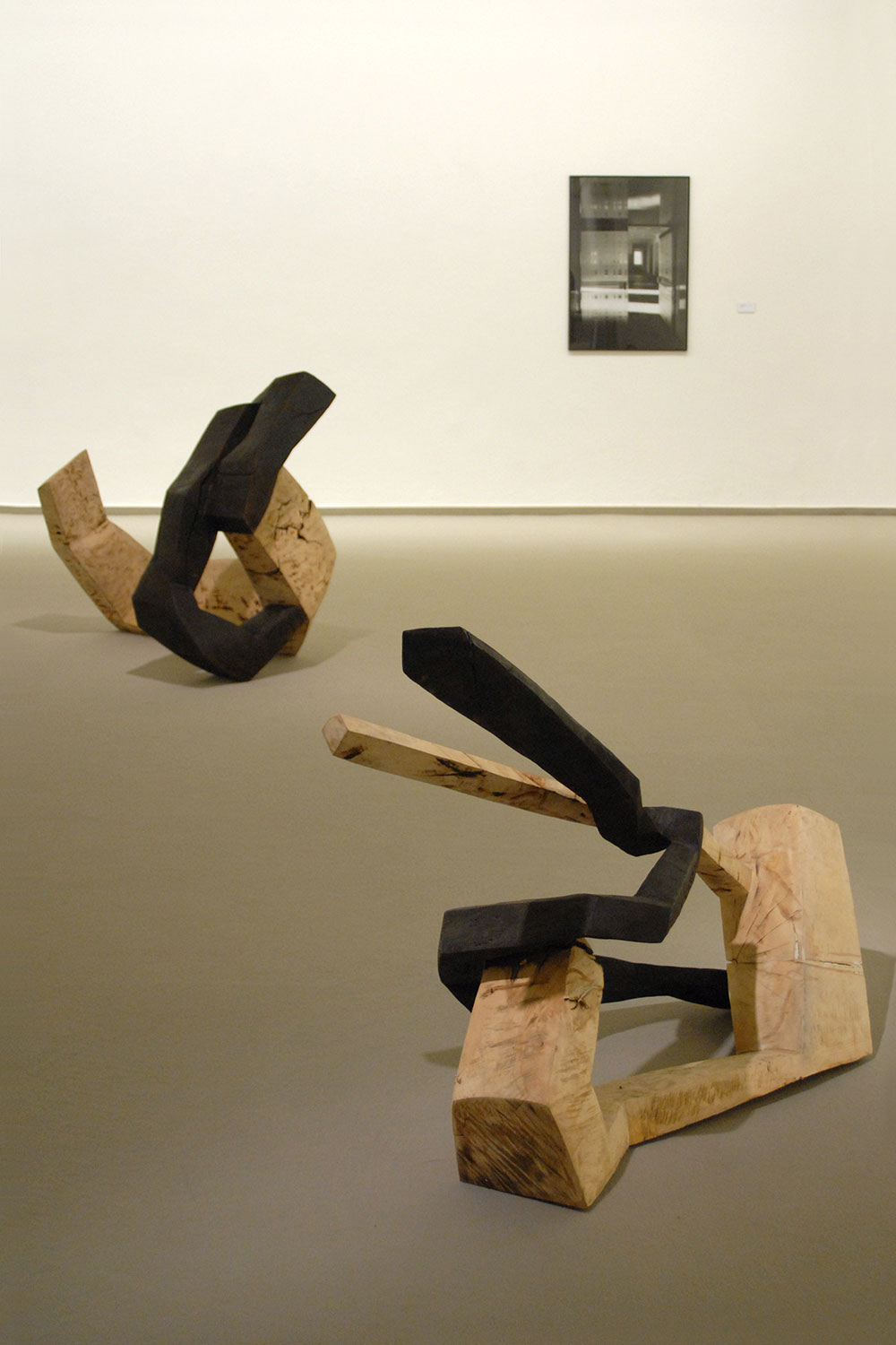 Ausstellung "Im Doppelpack" . Beate Debus und Horst Schäfer . Kunsthalle Erfurt 2008