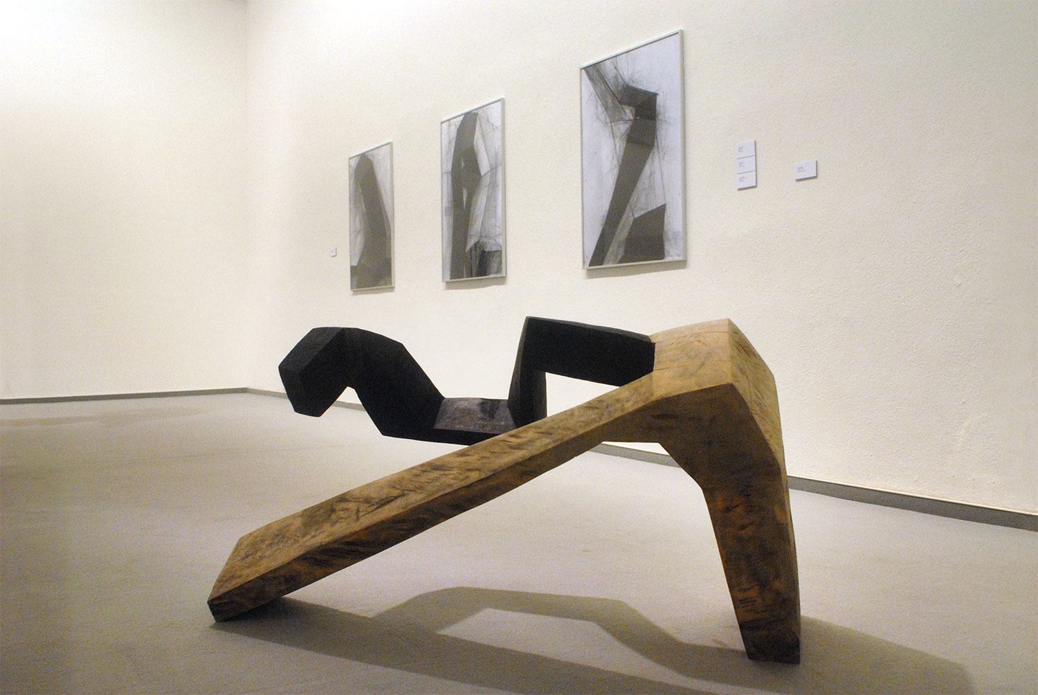 Ausstellung "Im Doppelpack" . Beate Debus und Horst Schäfer . Kunsthalle Erfurt 2008