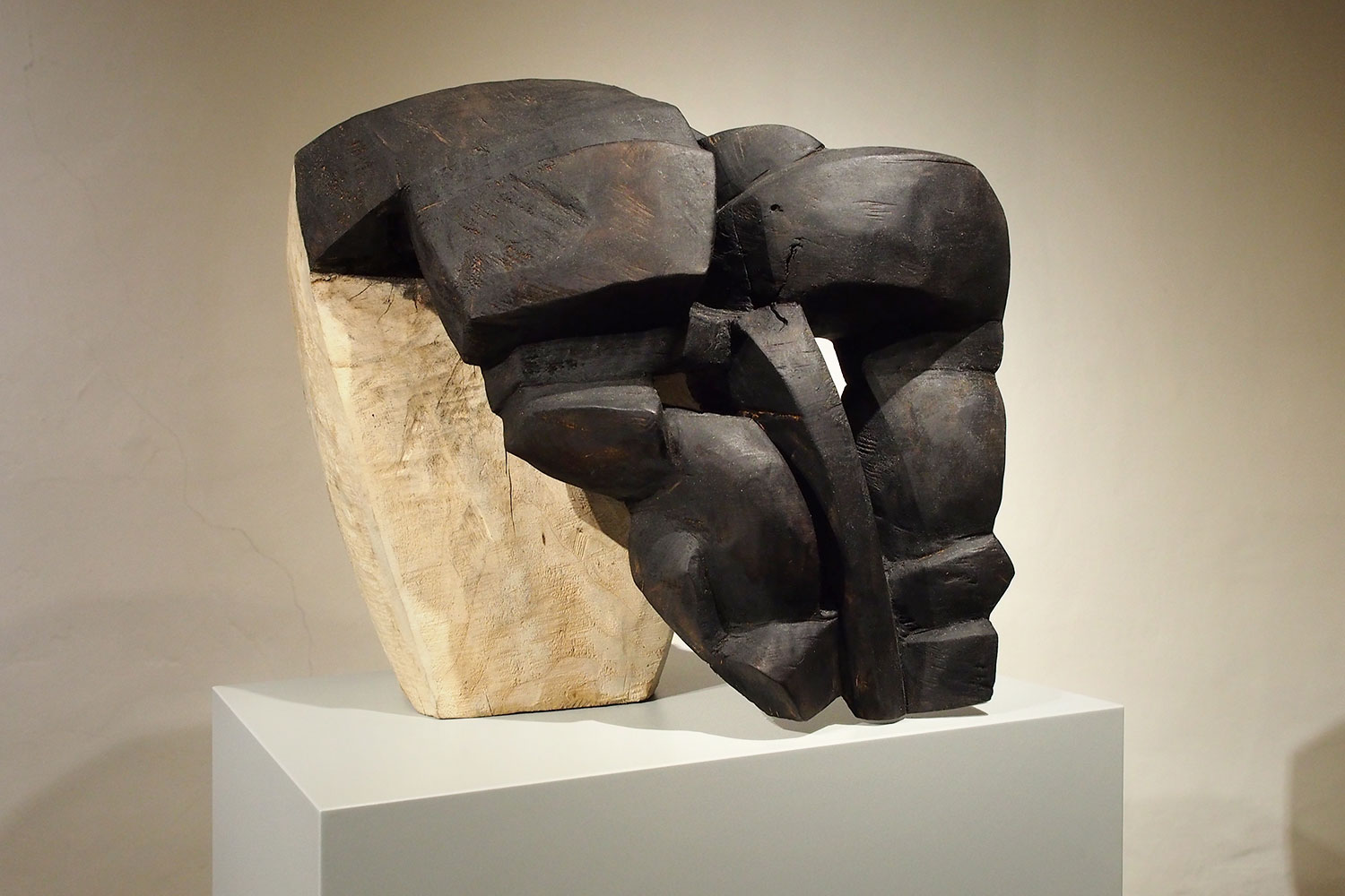 Stipendiatenausstellung "Maske Gesicht | Gesicht Maske" . Beate Debus . Galerie Waidspeicher Erfurt . 2015